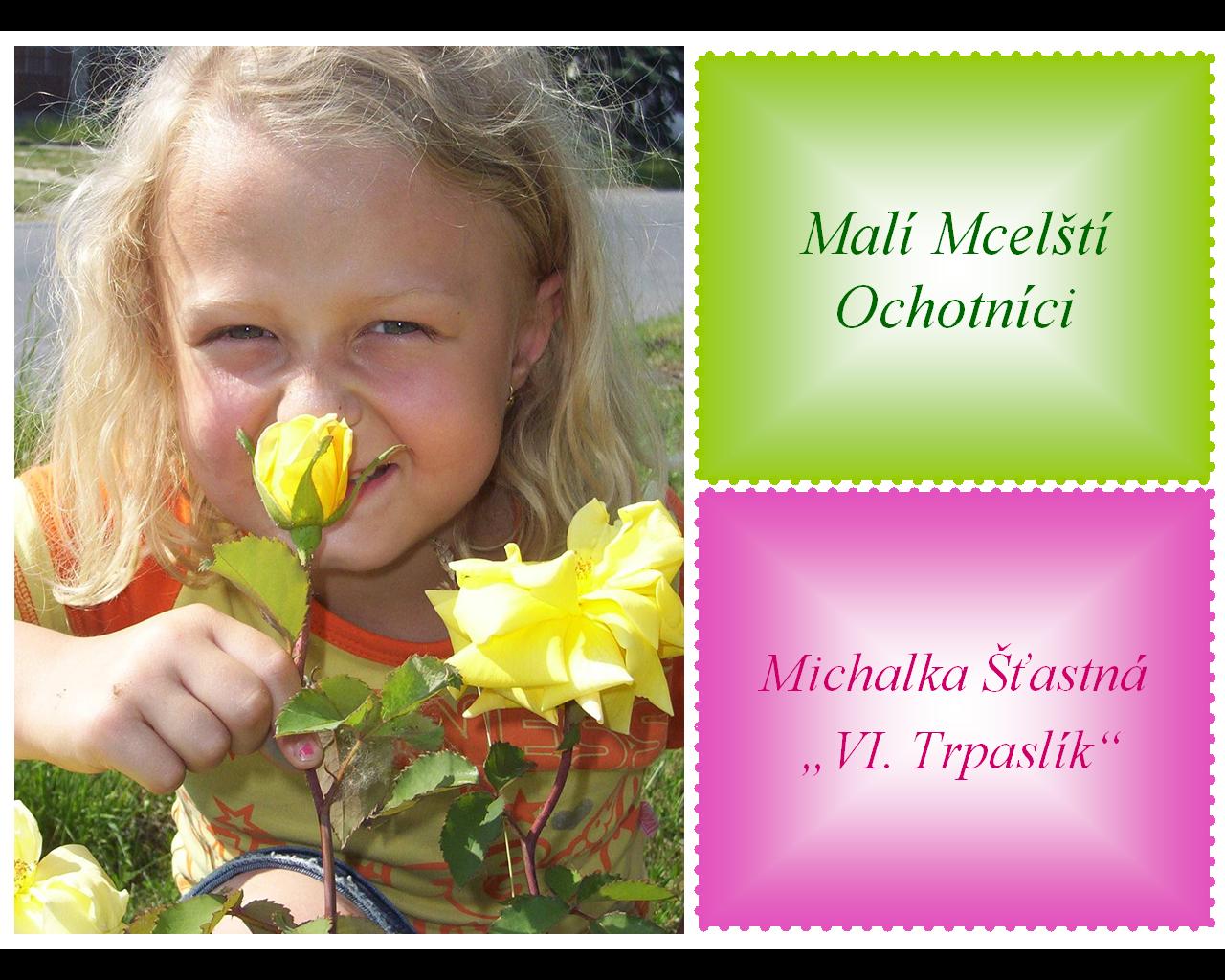 Michalka Šťastná.JPG